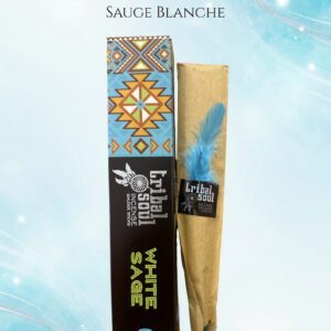 Encens SAUGE BLANCHE (avec plume bleue)