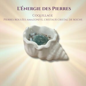 Coquillage garni — Amazonite & cristal de roche