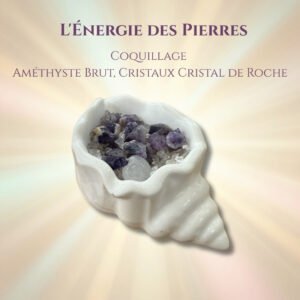 Coquillage garni — Améthyste brute & cristal de roche