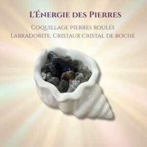 Coquillage garni — Labradorite & cristal de roche